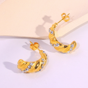 6E2007112bbov-334  Stainless Steel Earrings