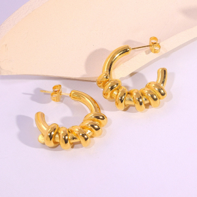 6E2007113vbnb-334  Stainless Steel Earrings