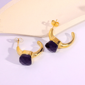 6E2007114bbov-334  Stainless Steel Earrings