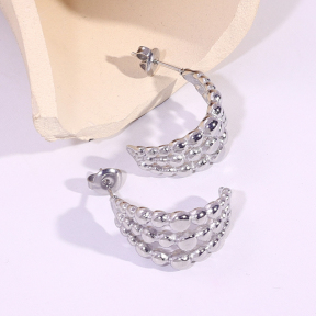 6E2007120vbmb-334  Stainless Steel Earrings