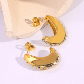 6E2007122bbov-334  Stainless Steel Earrings