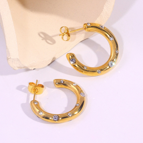 6E2007123bbov-334  Stainless Steel Earrings