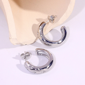 6E2007125vbnb-334  Stainless Steel Earrings