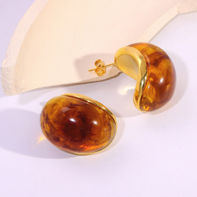 6E2007135vbpb-334  Stainless Steel Earrings