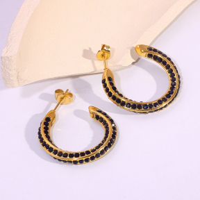 6E2007136vbpb-334  Stainless Steel Earrings