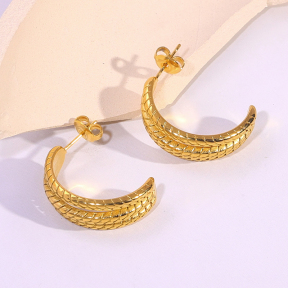 6E2007137vbnb-334  Stainless Steel Earrings