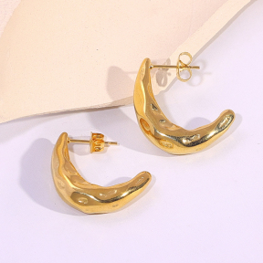6E2007139vbnb-334  Stainless Steel Earrings