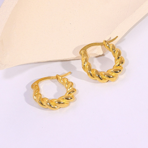 6E2007141vbnb-334  Stainless Steel Earrings