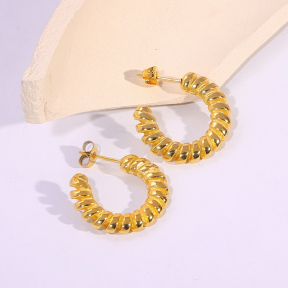 6E2007142vbnb-334  Stainless Steel Earrings