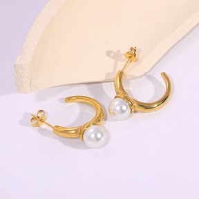 6E2007143vbnb-334  Stainless Steel Earrings