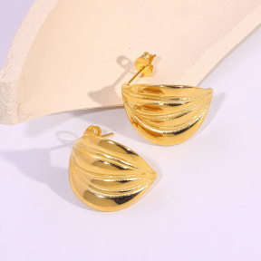 6E2007146vbnb-334  Stainless Steel Earrings