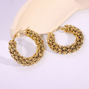 6E2007148bbov-334  Stainless Steel Earrings