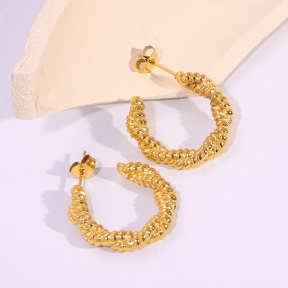 6E2007149vbnb-334  Stainless Steel Earrings