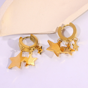 6E2007151bbov-334  Stainless Steel Earrings