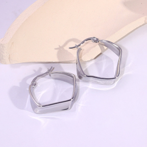6E2007152vbnb-334  Stainless Steel Earrings