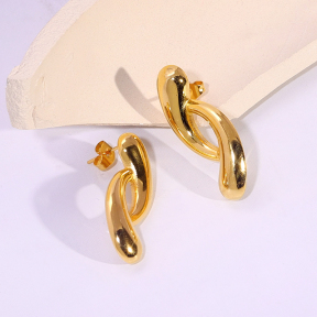 6E2007154vbnb-334  Stainless Steel Earrings