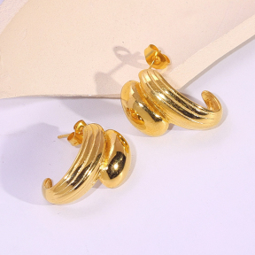6E2007155vbnb-334  Stainless Steel Earrings