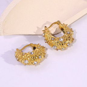 6E2007156bbov-334  Stainless Steel Earrings