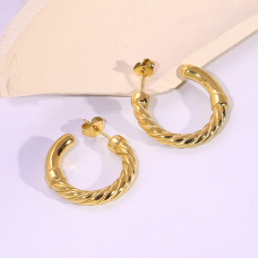 6E2007158vbnb-334  Stainless Steel Earrings