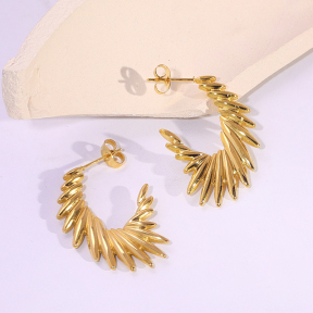 6E2007159vbnb-334  Stainless Steel Earrings