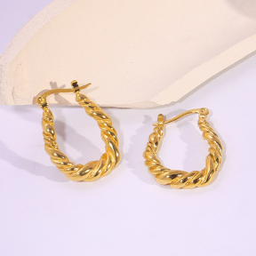 6E2007163vbnb-334  Stainless Steel Earrings