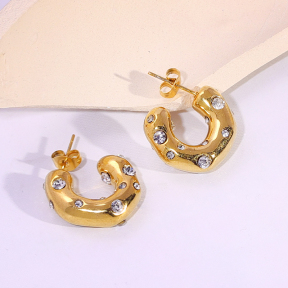 6E2007164bbov-334  Stainless Steel Earrings
