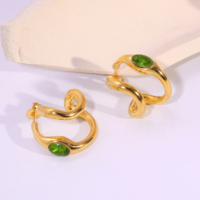 6E2007165bbov-334  Stainless Steel Earrings