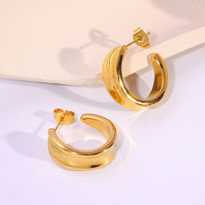 6E2007166vbnb-334  Stainless Steel Earrings