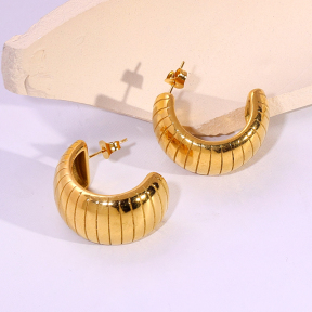 6E2007167vbnb-334  Stainless Steel Earrings