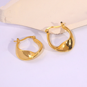 6E2007168vbnb-334  Stainless Steel Earrings