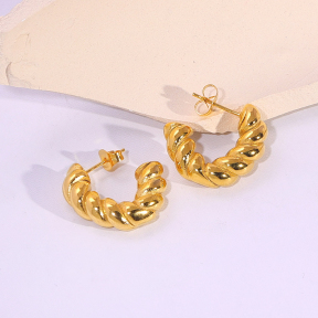 6E2007169vbnb-334  Stainless Steel Earrings
