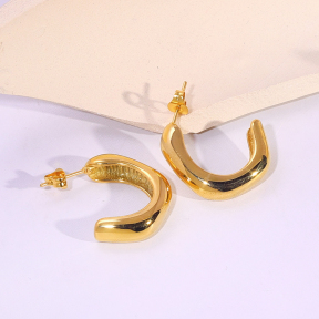6E2007172vbnb-334  Stainless Steel Earrings