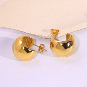 6E2007174vbnb-334  Stainless Steel Earrings