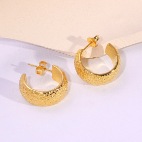 6E2007175vbnb-334  Stainless Steel Earrings