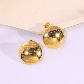 6E2007176vbnb-334  Stainless Steel Earrings