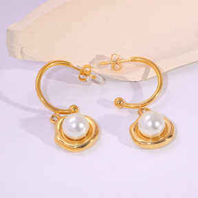 6E2007178vbnb-334  Stainless Steel Earrings
