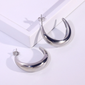 6E2007179vbmb-334  Stainless Steel Earrings