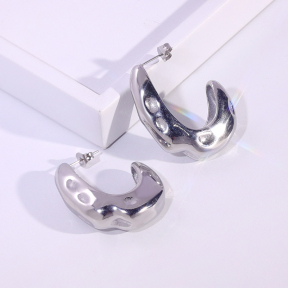 6E2007180vbnb-334  Stainless Steel Earrings