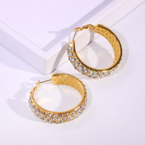 6E2007181bhva-334  Stainless Steel Earrings