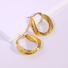 6E2007182bbov-334  Stainless Steel Earrings
