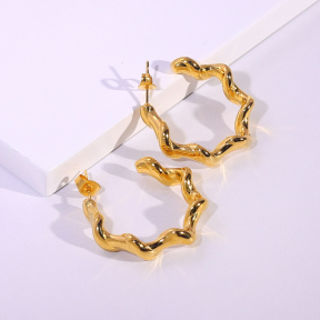 6E2007183vbnb-334  Stainless Steel Earrings