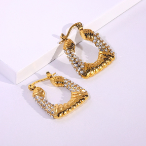 6E2007184bbov-334  Stainless Steel Earrings
