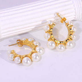 6E2007185bbov-334  Stainless Steel Earrings