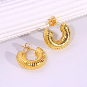 6E2007188vbnb-334  Stainless Steel Earrings