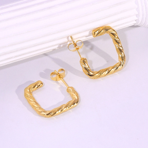 6E2007189vbnb-334  Stainless Steel Earrings