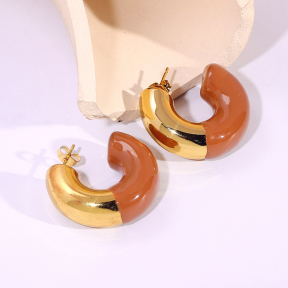 6E2007190vbpb-334  Stainless Steel Earrings