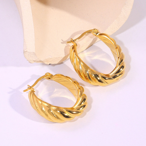 6E2007191bbov-334  Stainless Steel Earrings