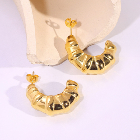 6E2007192vbnb-334  Stainless Steel Earrings