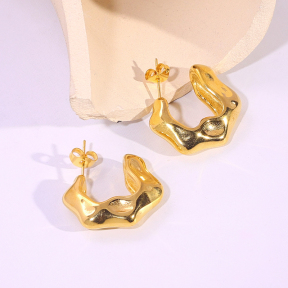 6E2007193vbnb-334  Stainless Steel Earrings