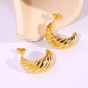 6E2007194vbnb-334  Stainless Steel Earrings